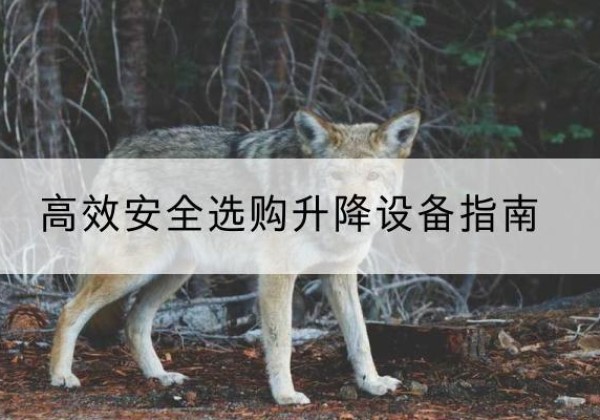 庆城升降货梯厂家推荐-*安全选购升降设备指南
