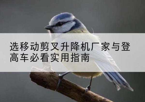 庆城电动升降机厂家-选移动剪叉升降机厂家与登高车必看实用指南
